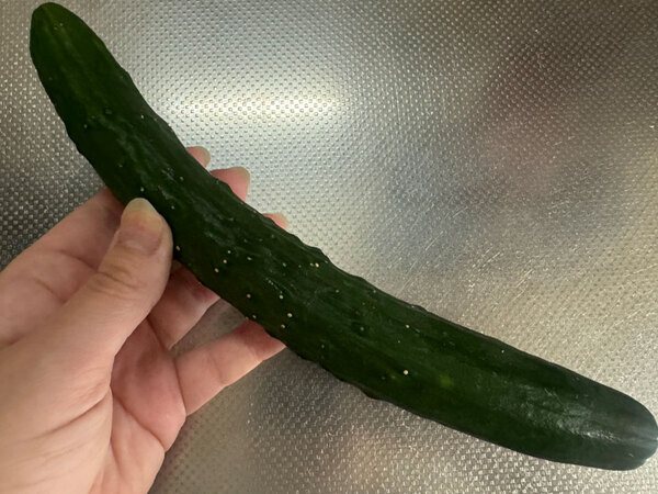 冷蔵庫の残り物料理で夏を乗り切る…　高橋英樹のおうちごはん