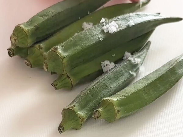 ポン酢だけじゃない！　オクラの新しい『食べ方』に「明日作ります」「オクラ買いに行かなきゃ」