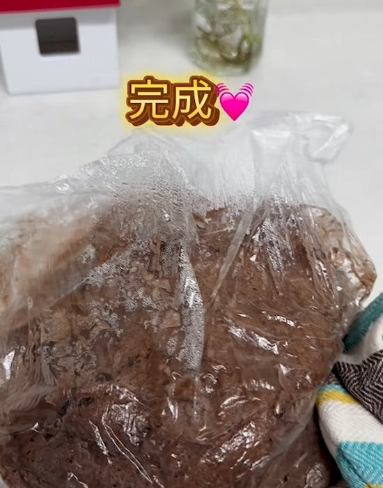 アイスをレンチンすると？　できあがったおやつに「子供と一緒に作りたい」