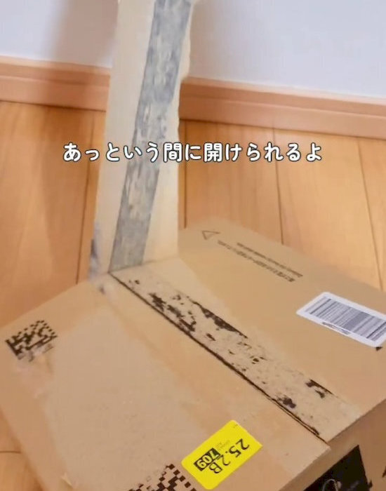 ダンボールを横にして『親指』で押すと？　結果に「助かる」「早速試す」