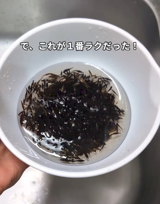 「ザルで詰まる」がなくなる！　ひじきの戻し方に「便利すぎ」「参考になる」