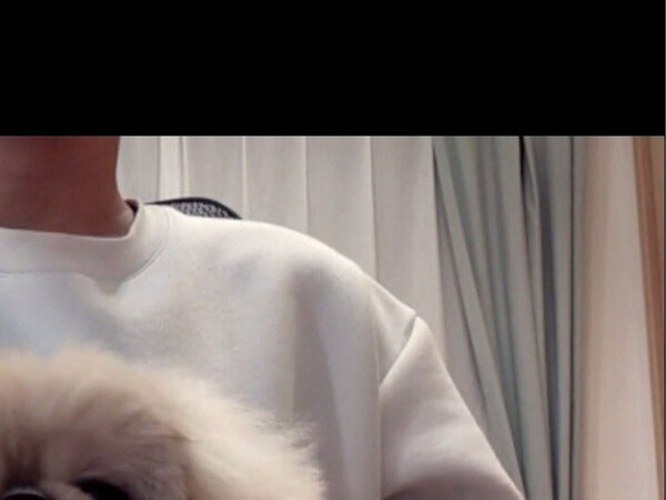 リモート会議中に愛犬が…　カメラに映った光景に「声出して笑った」「絶妙にマッチしてる」