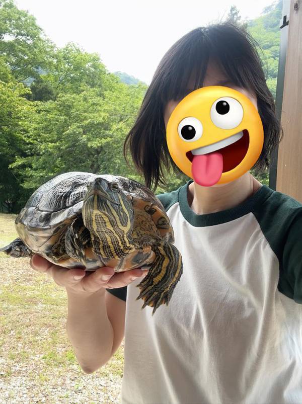 『９年前』と『今』のカメの姿が…　２枚の写真に「驚いた」「誇らしげな表情！」