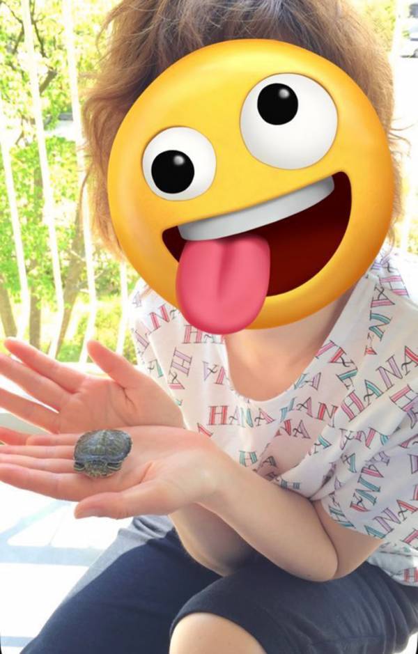 『９年前』と『今』のカメの姿が…　２枚の写真に「驚いた」「誇らしげな表情！」