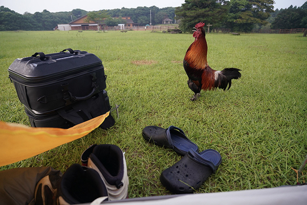 朝、キャンプ場で目にした光景が？　「ドッキリかよ！」「これが一流のサービスか」