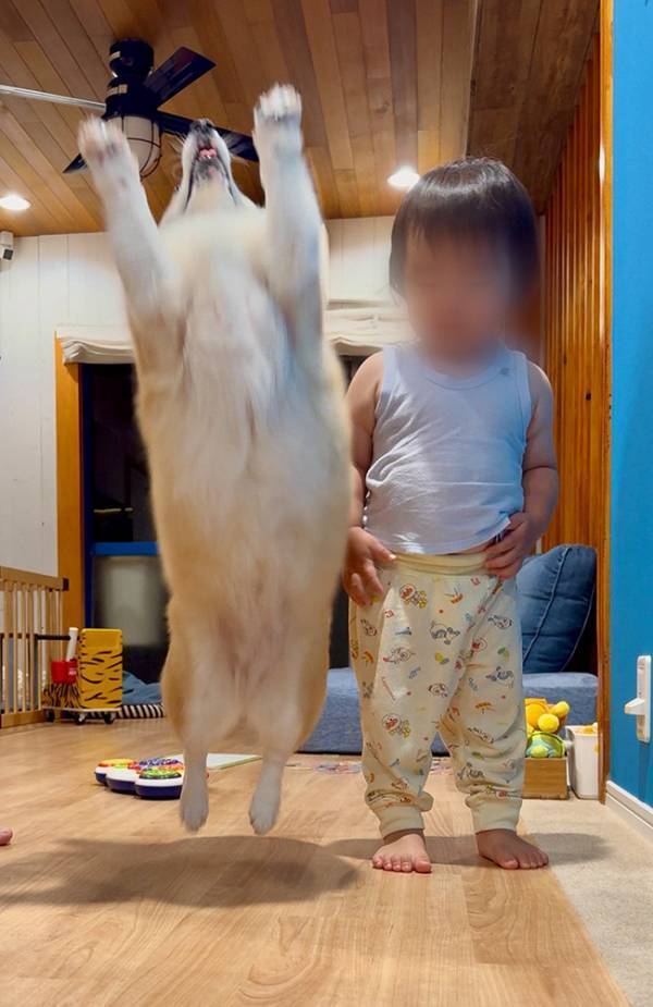 立ち上がった１歳息子、横を見ると？　「負けたくないという気迫を感じる」「爆笑」