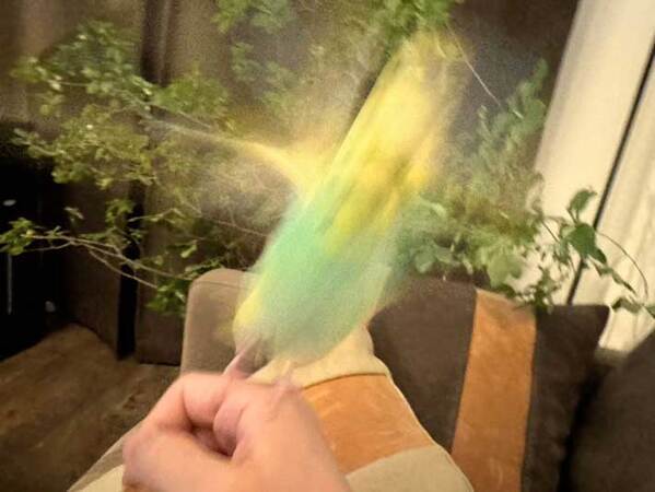 飼い主「７割がこれ…」　インコの写真に「飼い主しか撮れない」「かわいい」