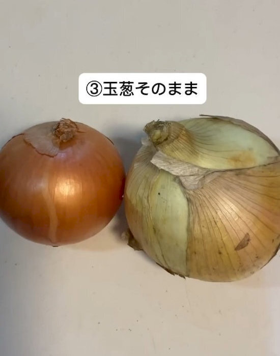 「これもダメなの？」　ゴキブリを呼ぶ意外な習慣に「やってた…」「反省しかない」