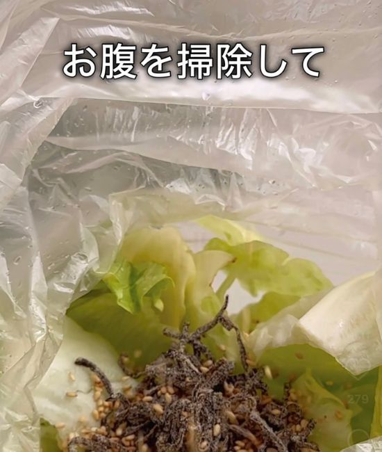 「レタスが止まらない…」　ポリ袋で完成する副菜に「家族が奪い合い」「即リピ」