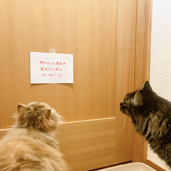 風呂に『立ち入り禁止』の貼り紙　その後、目にした光景が？