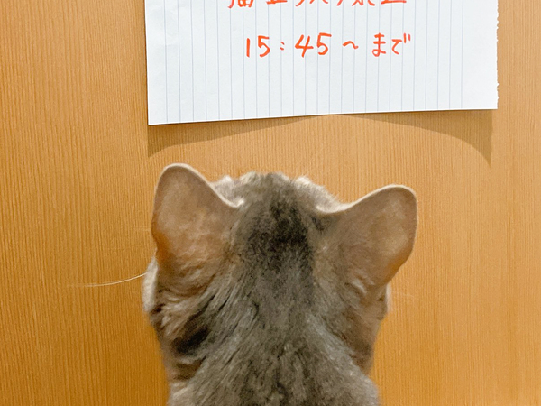 風呂に『立ち入り禁止』の貼り紙　その後、目にした光景が？