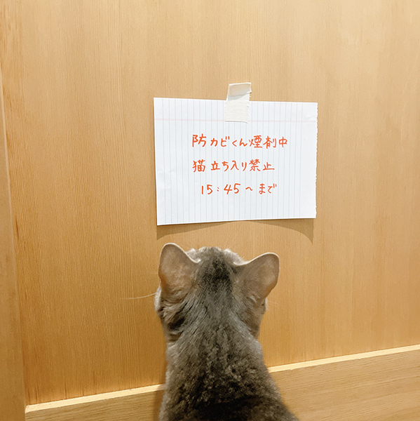 風呂に『立ち入り禁止』の貼り紙　その後、目にした光景が？