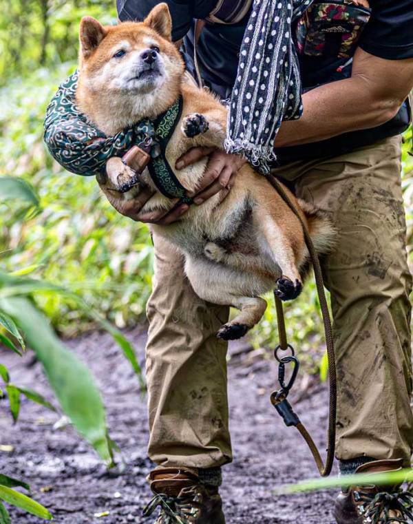 泥で遊びたい犬vs阻止したい飼い主　写真に「爆笑」「１００点満点！」