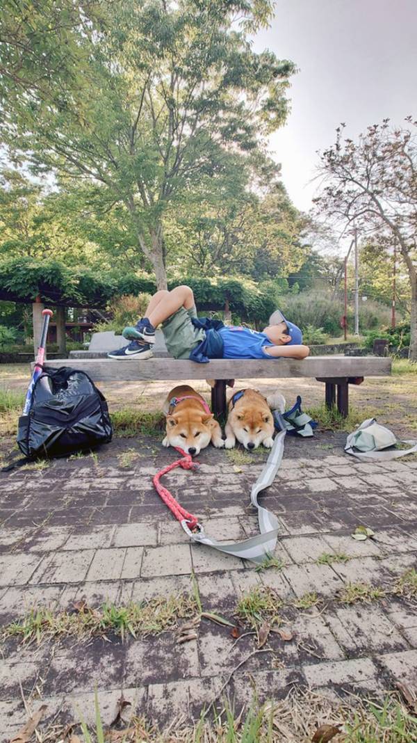 ベンチで寝そべる小学生　下を見ると？　「思わず笑った」「効率よすぎる！」