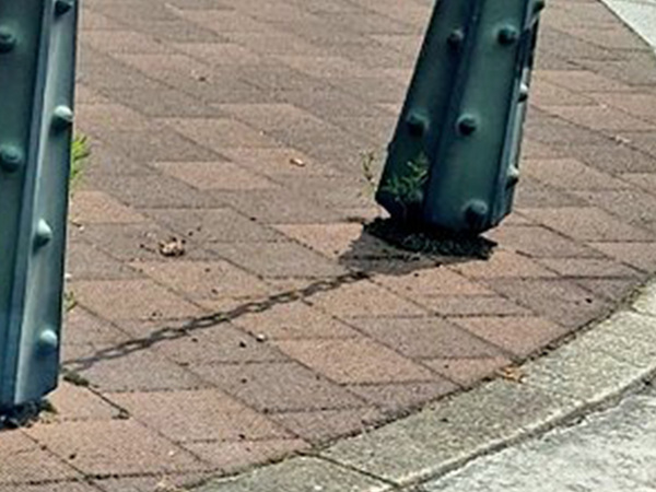 岡山県の歩道で、見慣れないものが…　見た光景に「知らなかった」「恐ろしや」