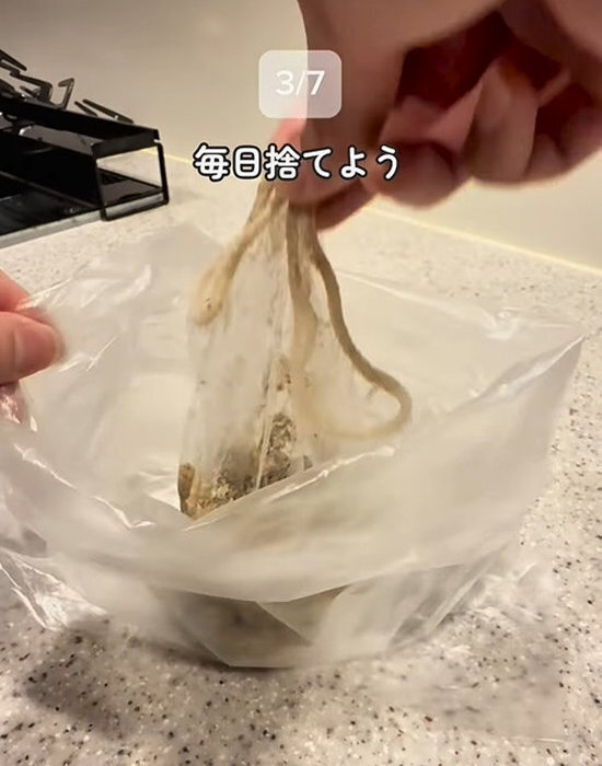 「だから毎年ゴキブリが出るんだ…」　掃除上手の指摘に「やっちゃってました」