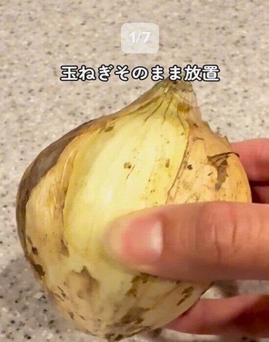 「だから毎年ゴキブリが出るんだ…」　掃除上手の指摘に「やっちゃってました」