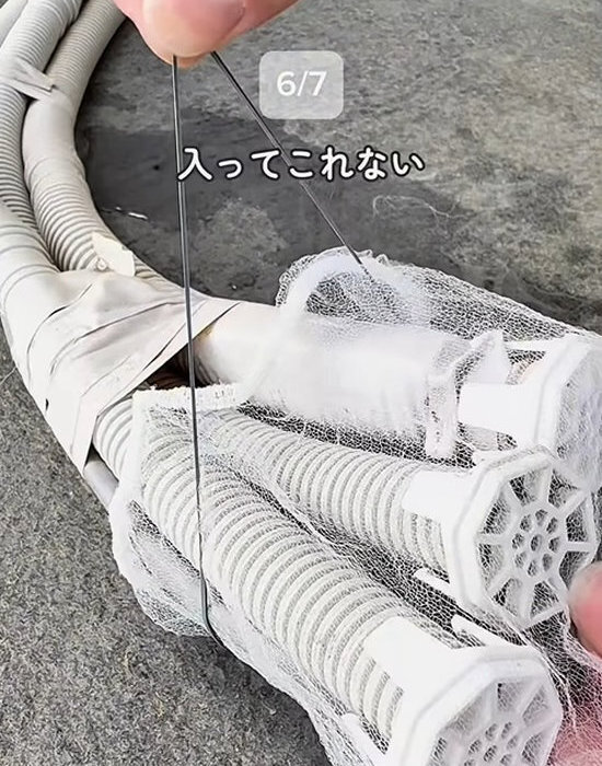 「だから毎年ゴキブリが出るんだ…」　掃除上手の指摘に「やっちゃってました」