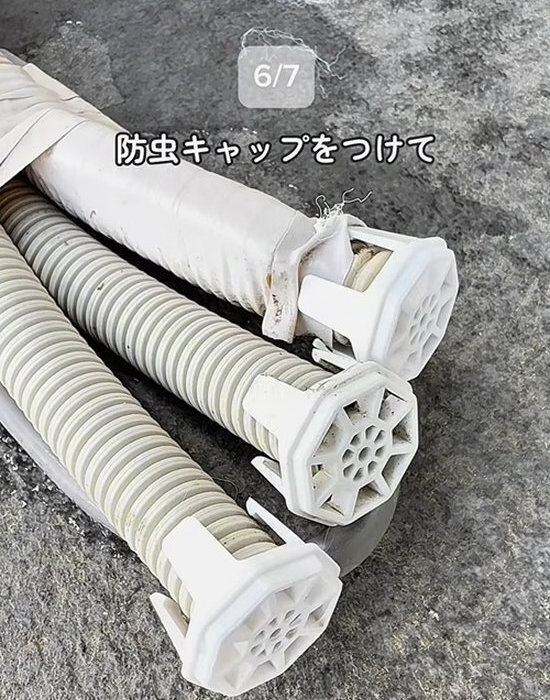 「だから毎年ゴキブリが出るんだ…」　掃除上手の指摘に「やっちゃってました」