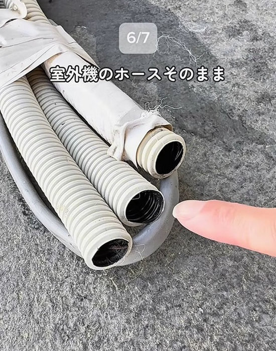 「だから毎年ゴキブリが出るんだ…」　掃除上手の指摘に「やっちゃってました」