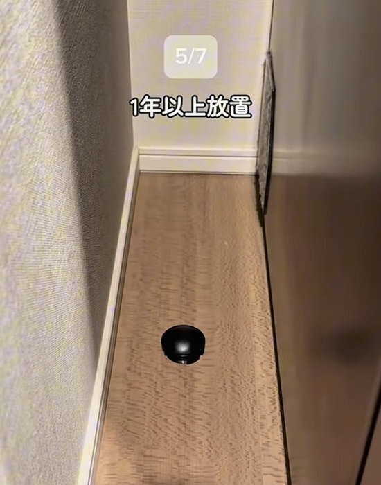 「だから毎年ゴキブリが出るんだ…」　掃除上手の指摘に「やっちゃってました」