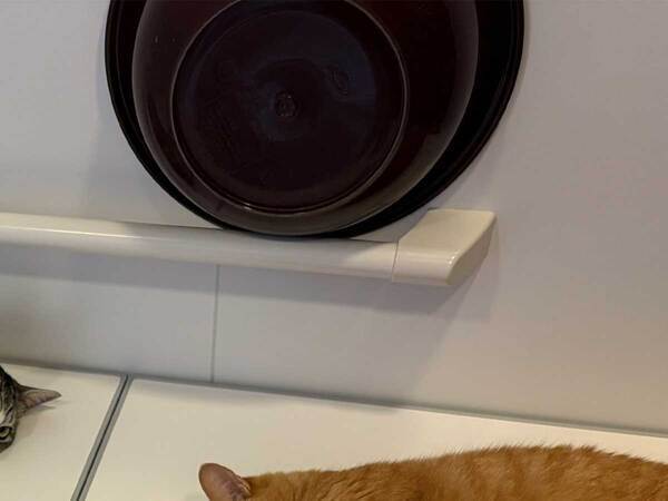 風呂に入ろうとしたら…　先客に「鉄壁ですね」「諦めるしかない」