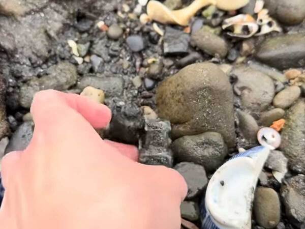 海岸を歩く女性　拾ったモノに…「すごい」「奇跡だ」