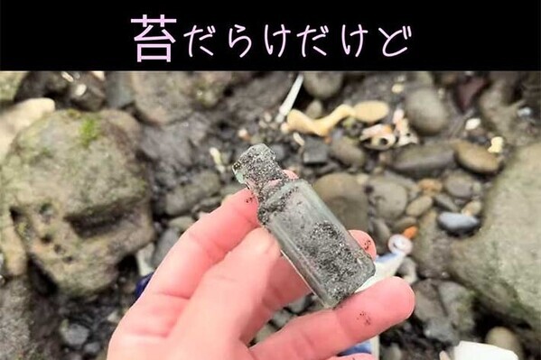 海岸を歩く女性　拾ったモノに…「すごい」「奇跡だ」