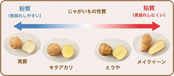 カレーに入れるジャガイモはどう切る？　ハウス食品に『おすすめ』を聞いた！