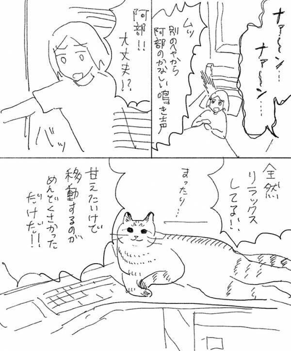 愛猫の『悲しい声』を聞きつけた飼い主　まさかの様子に「賢い」「かわいいけど…！」