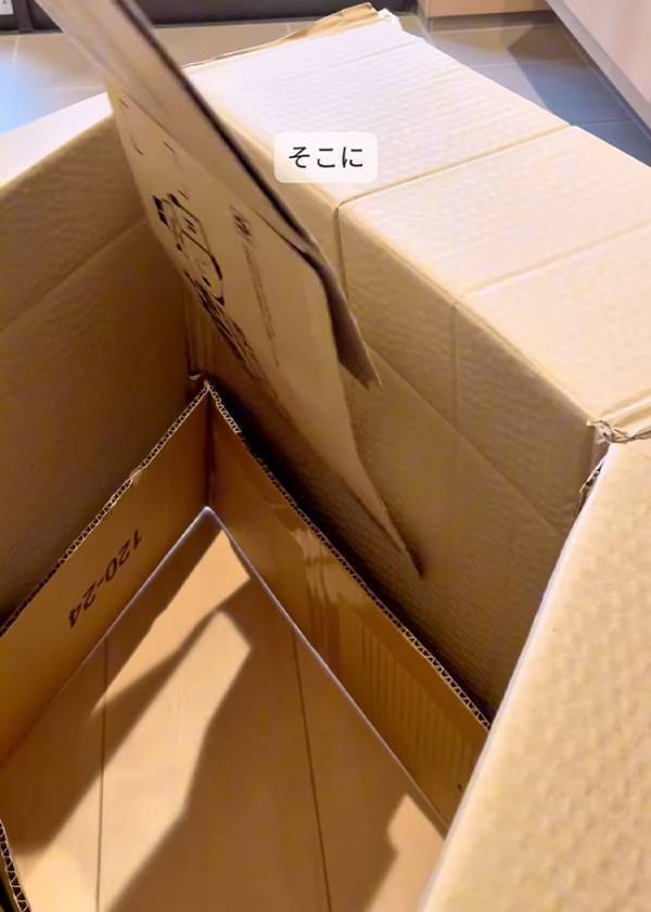 ダンボールの端を折って？　手軽にできる収納術に「控えめに言って最高！」