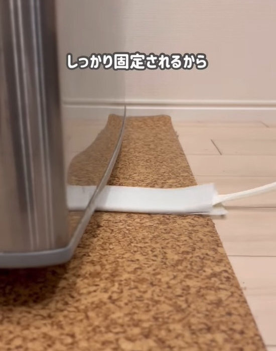 ゴキブリ対策　虫除けグッズの購入よりも重要なのは…　「これは絶対やるべき」