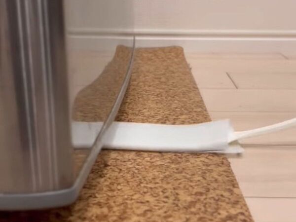 ゴキブリ対策　虫除けグッズの購入よりも重要なのは…　「これは絶対やるべき」