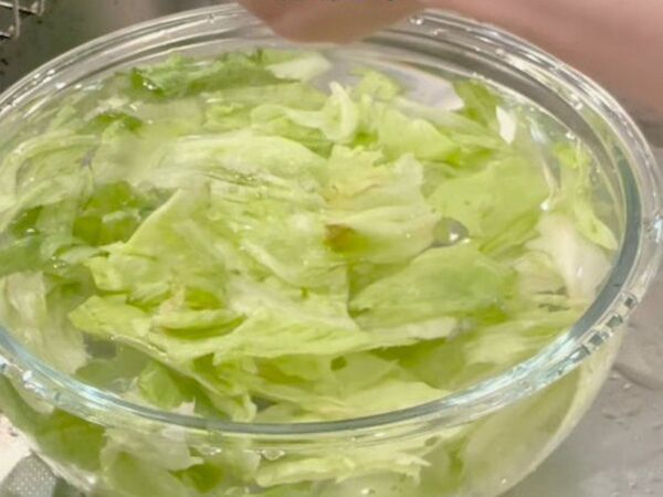 レタスがしなしなでも？　復活テクに「そうだったのか」「やってみたい」