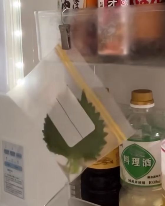 冷蔵庫に入れてもすぐダメに…　大葉がしなびにくくなる保存法に「コレ便利」「真似する」