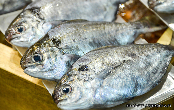 土井善晴が作ったから揚げが？　意外な食材に「作ったことない」「気になる！」