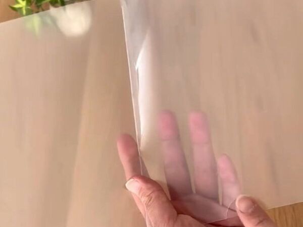 「折り曲げてたの後悔した」　書類がピシッと収まるクリアファイルの使い方