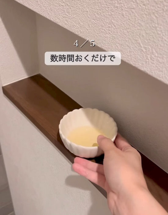 トイレに小皿を置いて数時間放置　お酢の力に「信じられない」「早速試す」