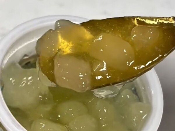 アイスボックスに注いで３０秒　起きた変化に「天才かも」「子どもも喜ぶ」