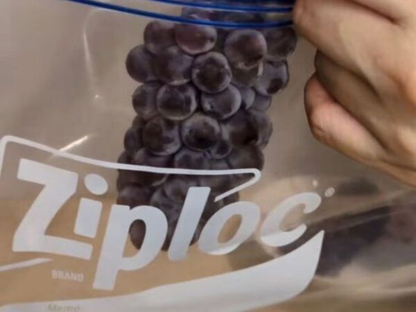 ブドウを袋で振ったらどうなる？　意外すぎる展開に「目を疑った」「すごい！」