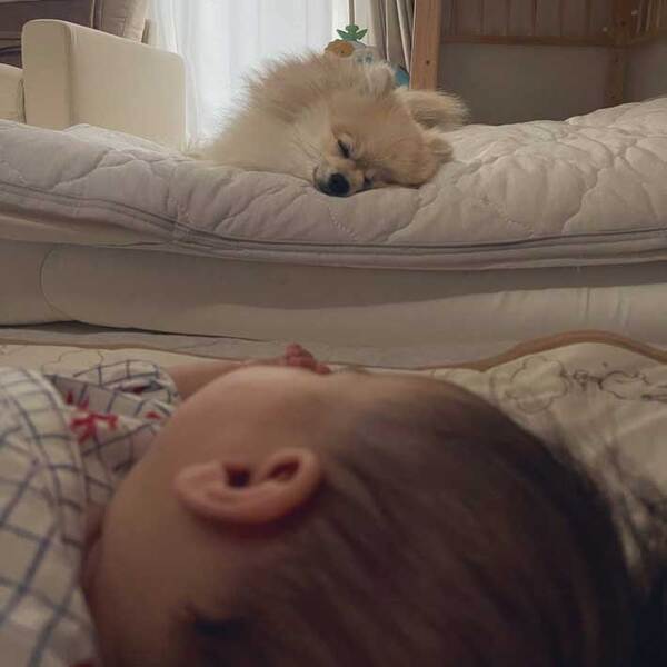 母「尊い…」　５か月の赤ちゃんと寝ていたのは？