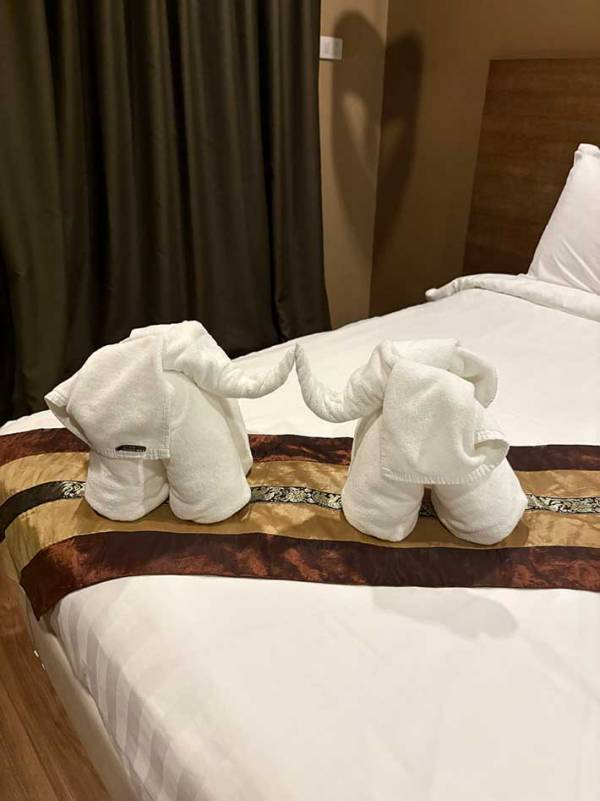 ベッドの上にあったのは？　ホテルの光景に「粋だね」「こういうの嬉しくなる」