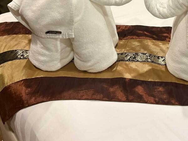 ベッドの上にあったのは？　ホテルの光景に「粋だね」「こういうの嬉しくなる」