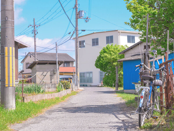 「俺らの夏が来た」「見なきゃ夏始まらない」　金ローでサマーウォーズ決定！放送日は？