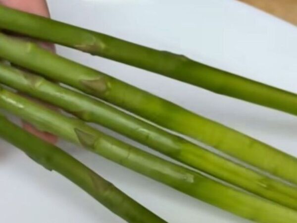 塩水に浸けるとアスパラガスが…　仕上がりに「ウソみたい」「すぐやる」