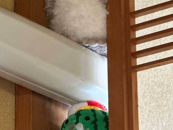 「これ合ってる？」　エアコンの『配線の隙間』を埋めたのは…「大正解」「コーヒー吹いた」