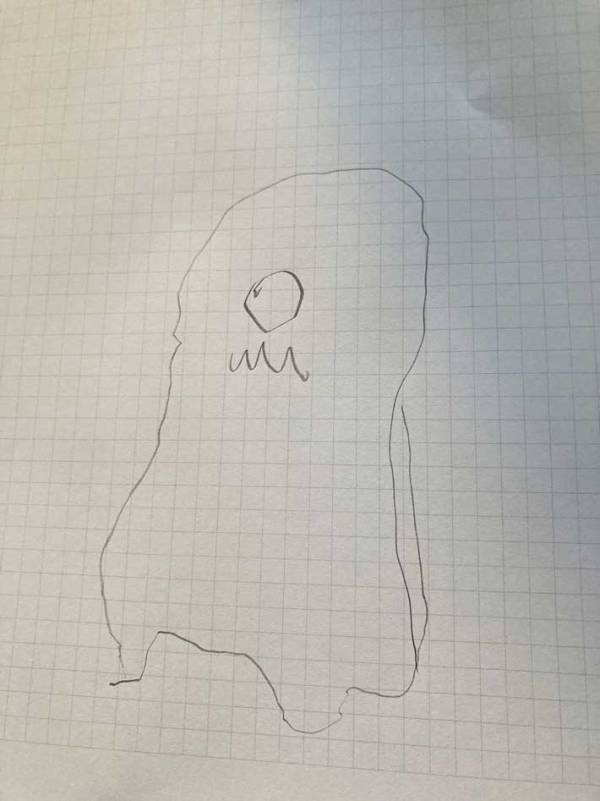 「私の千倍器用」「才能」　幼稚園児の作ったぬいぐるみに称賛の声