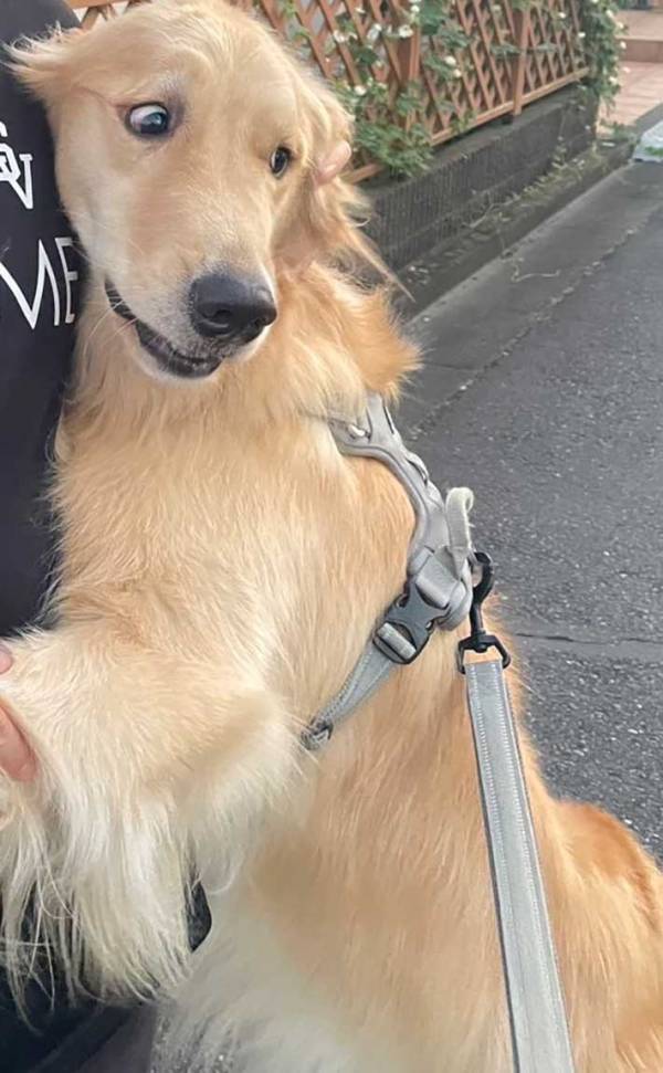 苦手な人を前にした犬　反応に「そんな表情することもあるんだ…」「正直者」