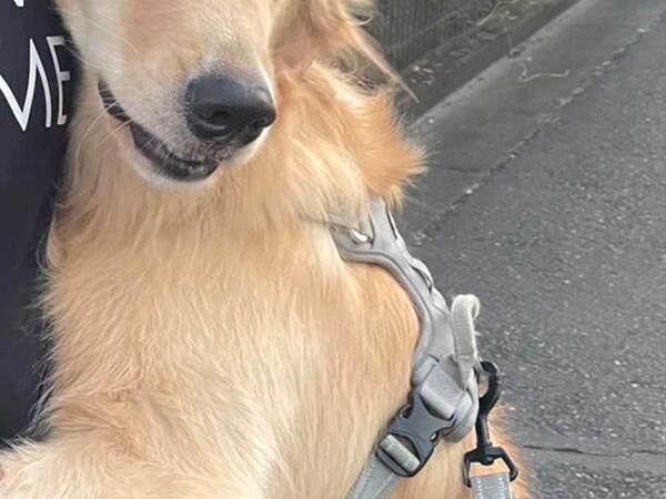 苦手な人を前にした犬　反応に「そんな表情することもあるんだ…」「正直者」