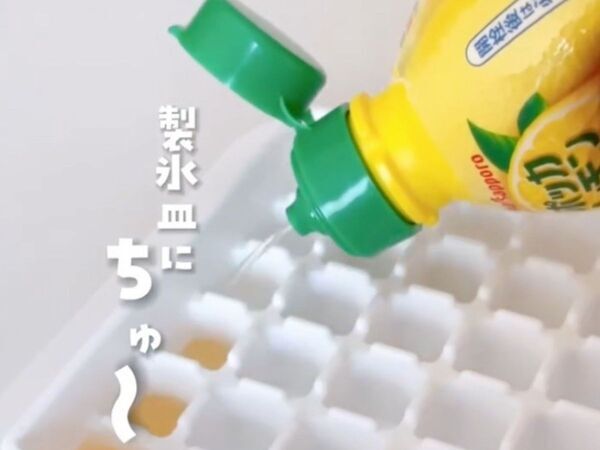 レモン汁は製氷皿で保存すると？　変化した姿に「コレすごい！」「感動した」